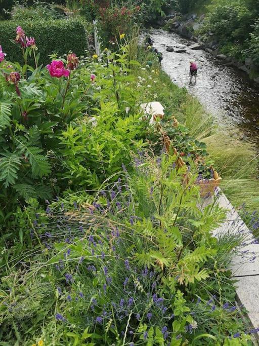 Guenstige, Schoene Ferienwohnung Im Wanderparadies Wernigerode Kültér fotó